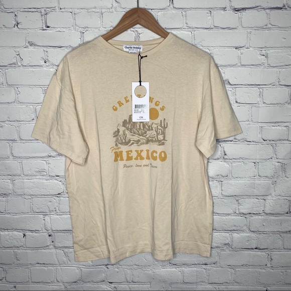 Lulu’s Charlie Holiday Vacay Beige Graphic Boyfriend Tee - Picture 2 of 11